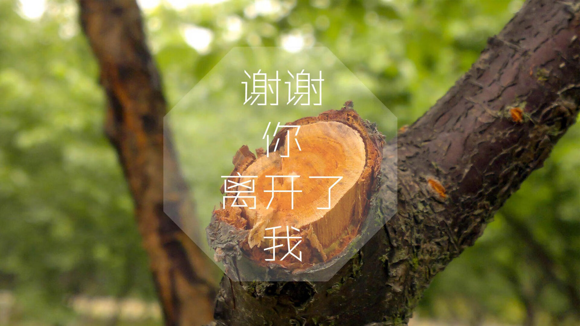 下载乐鱼体育APP-水上漂流趣味比赛，激流勇进的水上冒险，水上漂流儿童画