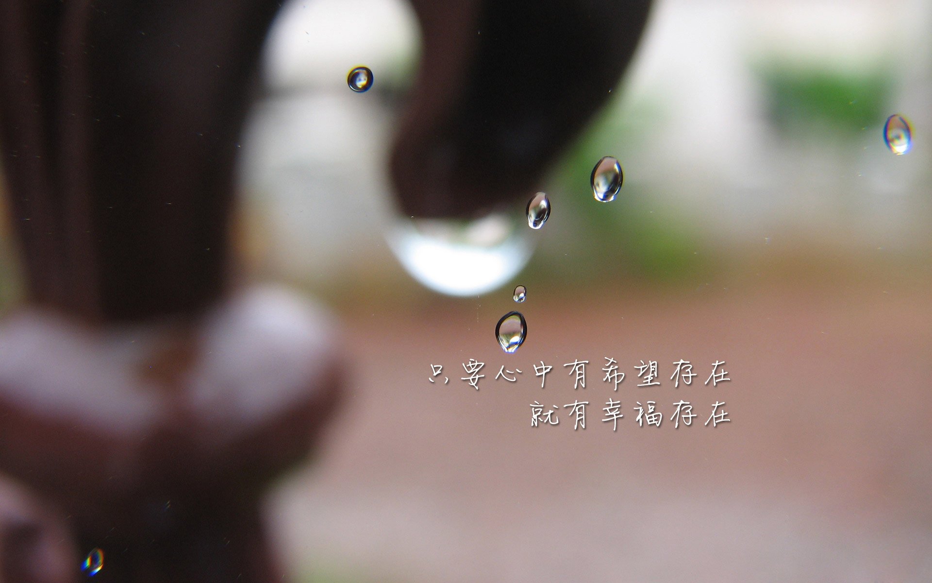 足球赛事转播频道获得更多关注，观众增长迅速，足球转播在哪看