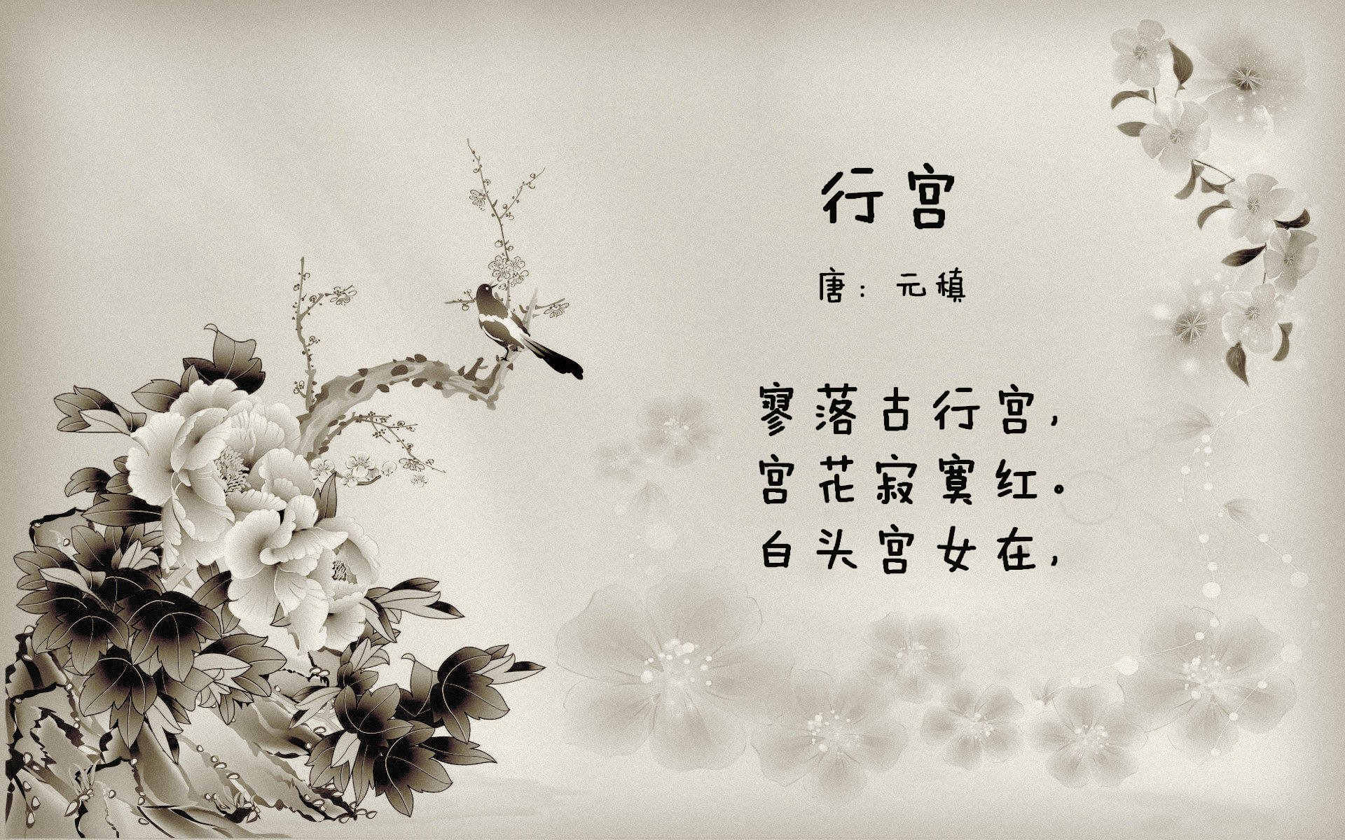 黄蜂队球队赛季开局表现亮眼，黄蜂队2020