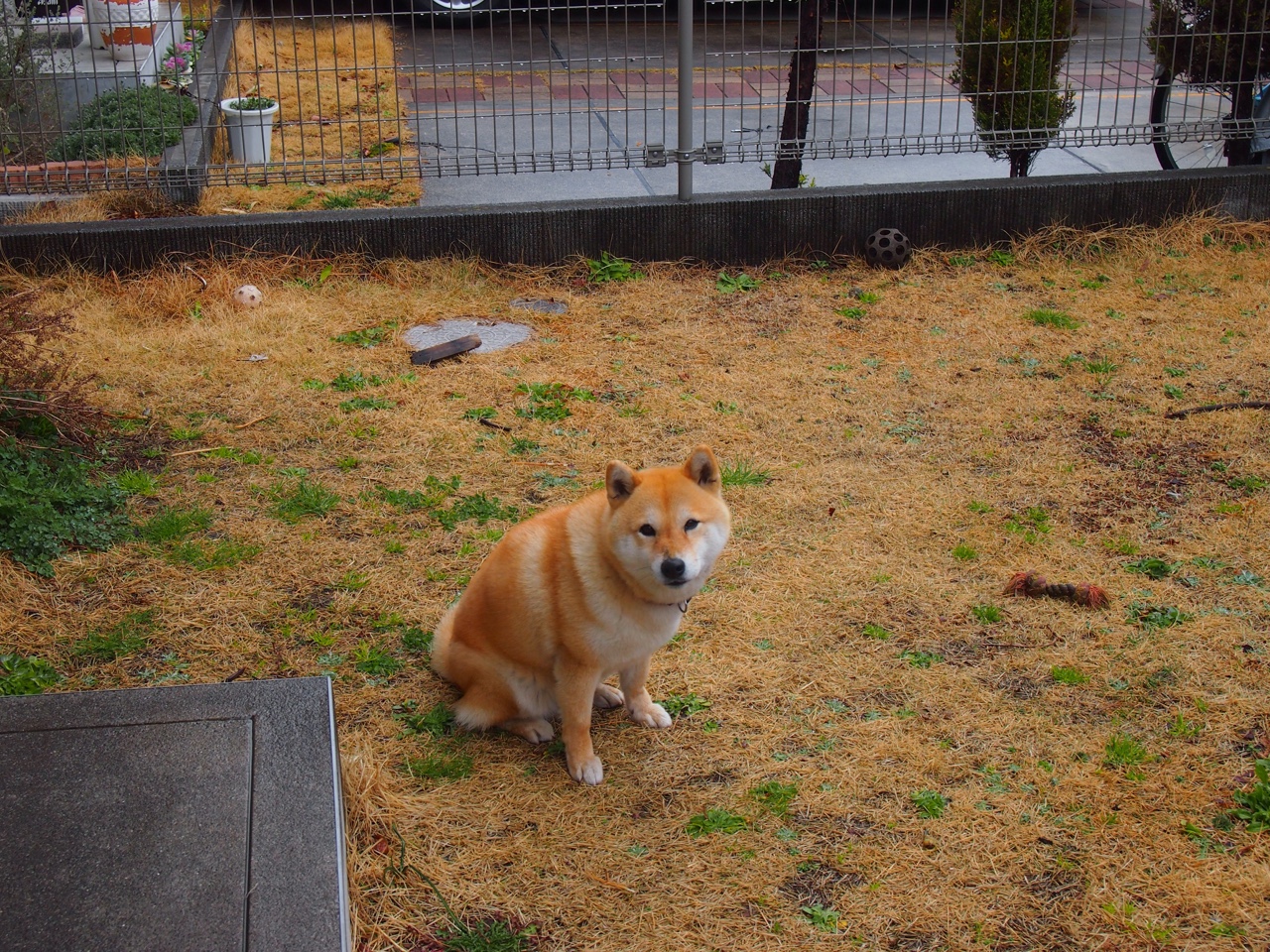 CBA球队积极推动训练方法科学化，揭秘cba各球队训练基地