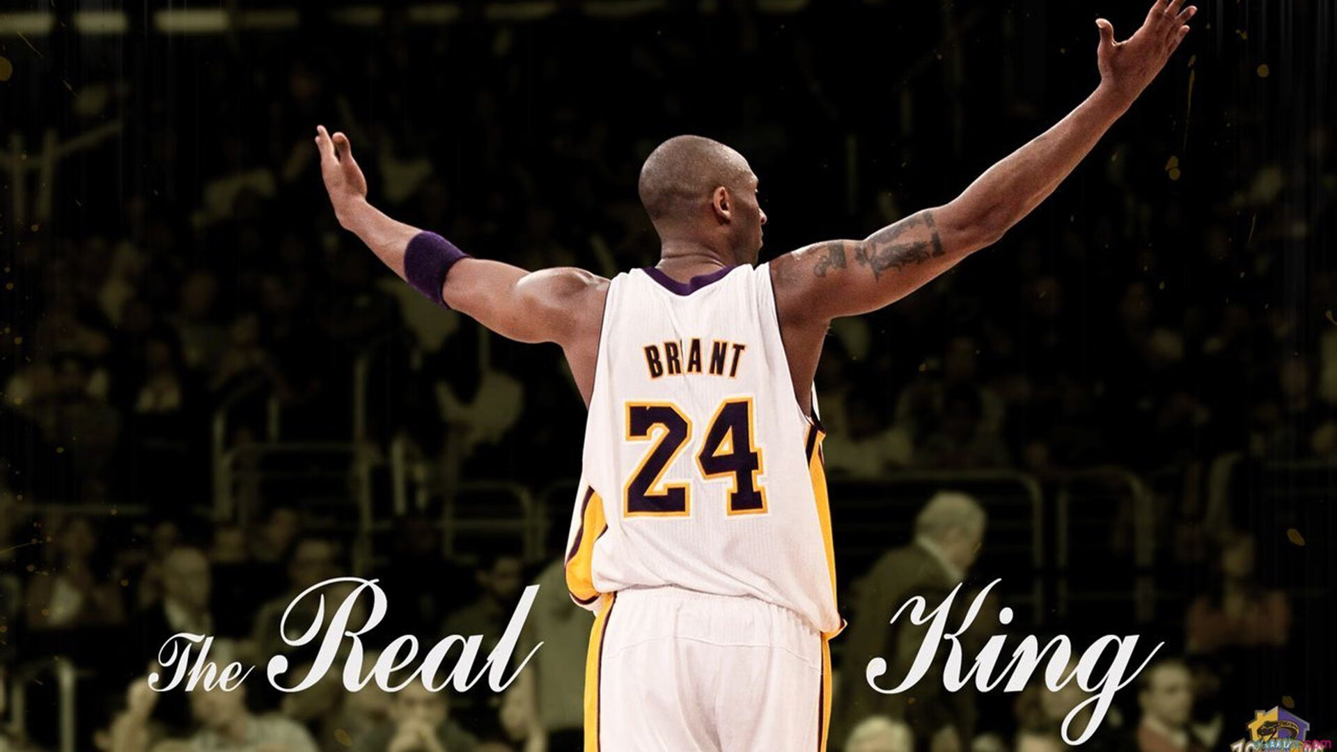 赛季“最值得期待的瞬间”：球迷投票揭晓最终冠军猜测，总决赛最有价值球员怎么评选